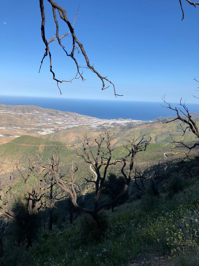 Lujar Cortijo Sancardo旅馆 外观 照片